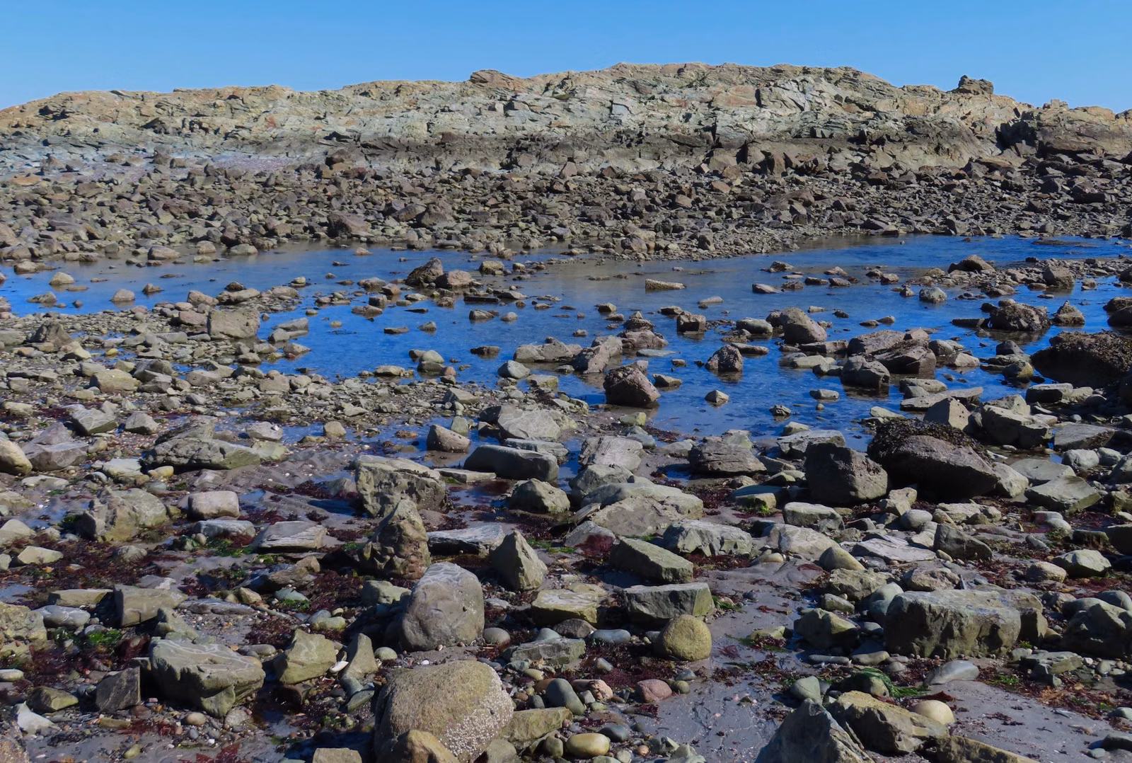Tide pools among rocks exposed at low tide on Nantasket Beach, Hull, MA