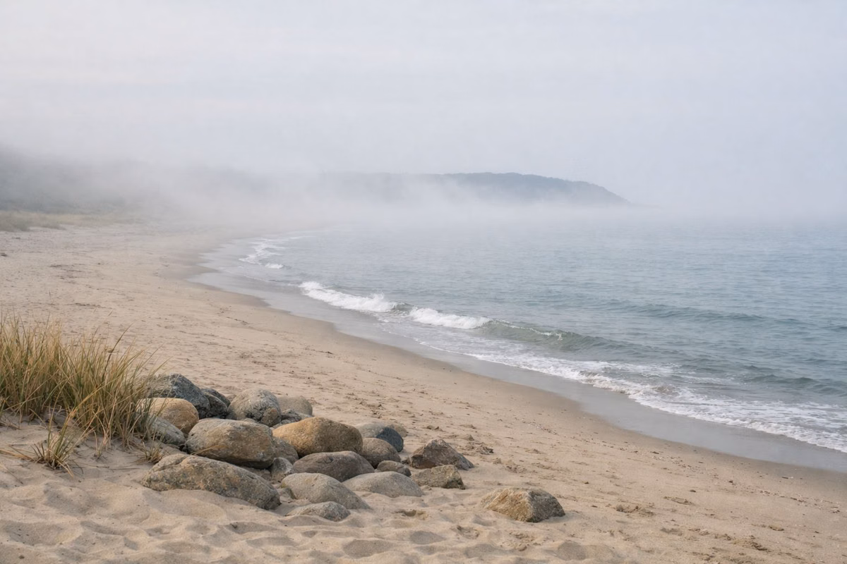 Sea fog drifting over a calm sandy beach in soft gray morning light